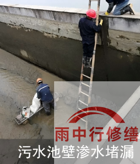 蚌埠2026年防水龙头半月两次涨价，行业格局重塑信号